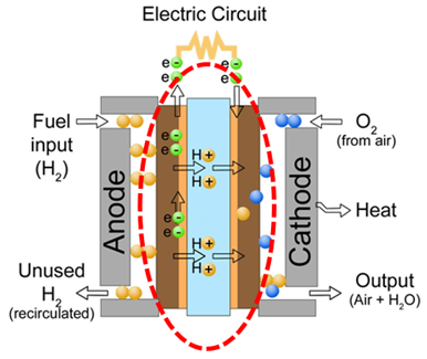 燃料电池示意图图片